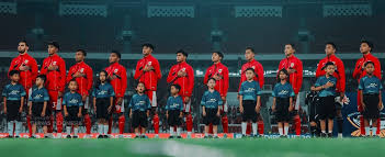 timnas